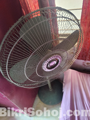 Fan